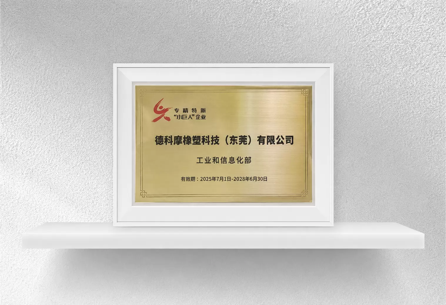 National "Little Giant" Enterprise of Specialization & Excellence in China